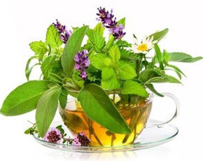 Fresh Products
